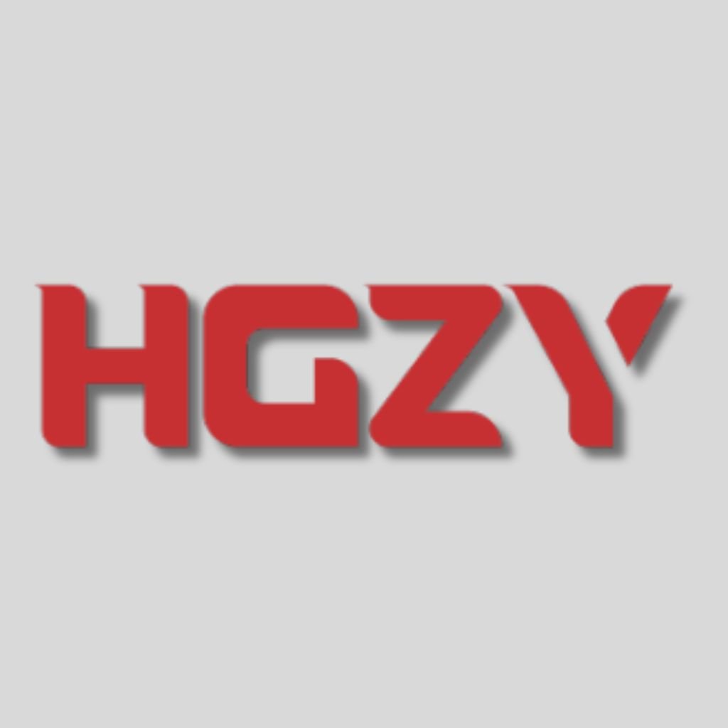 hgzy game